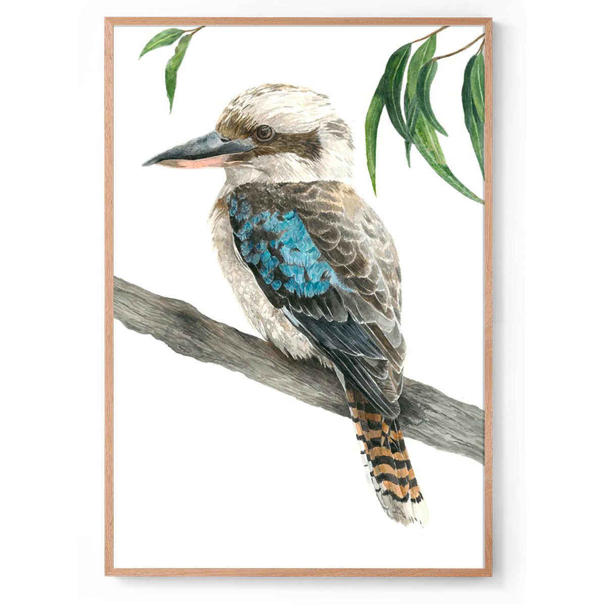 Blue the Kookaburra: Watercolour Wall Print