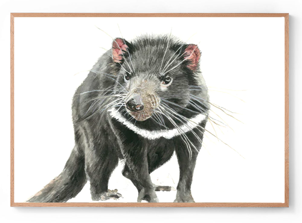 Tilly the Tasmanian Devil: Watercolour Wall Print