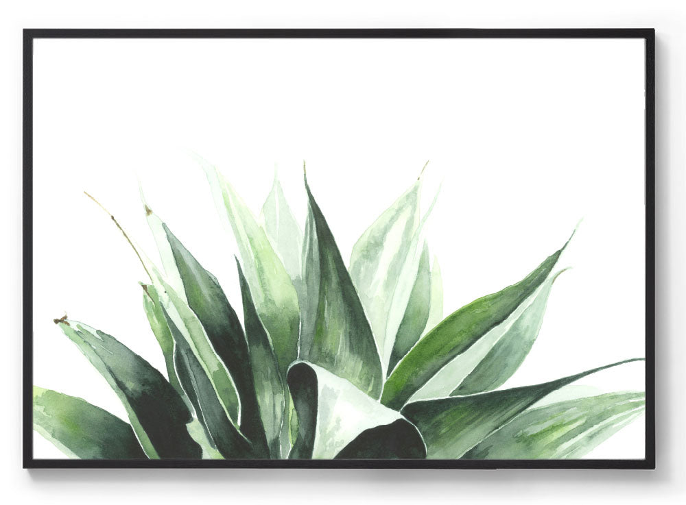 Agave: Watercolour Wall Print