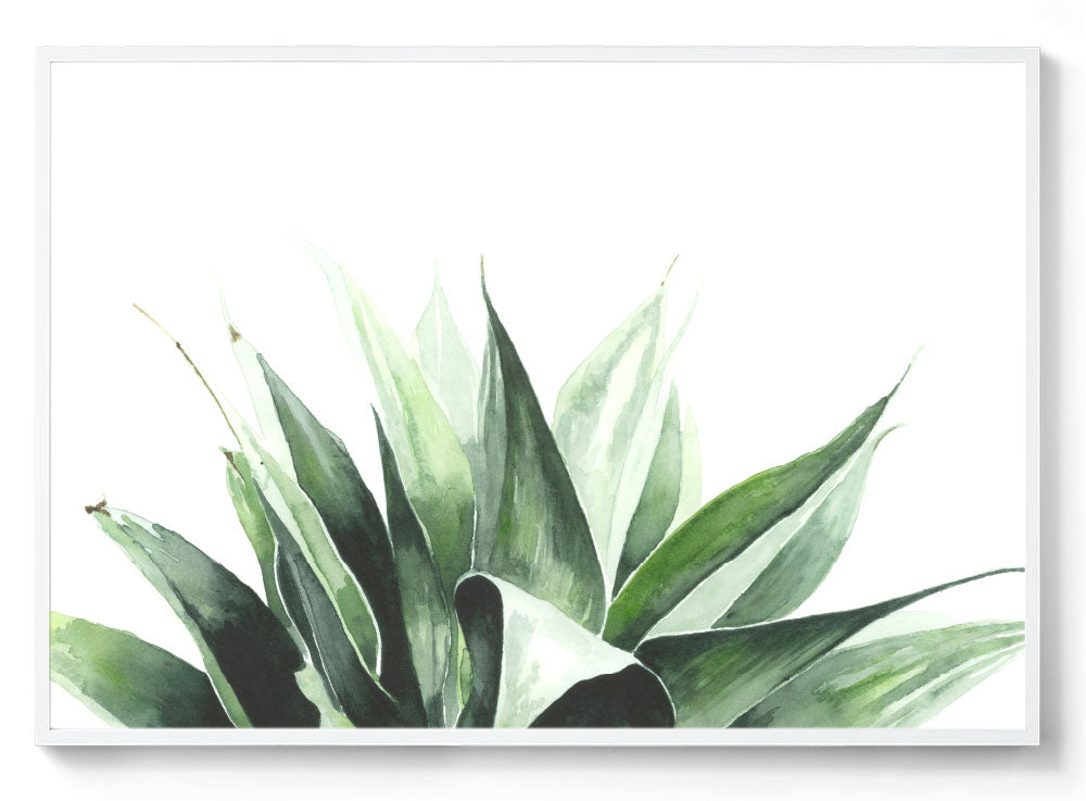 Agave: Watercolour Wall Print