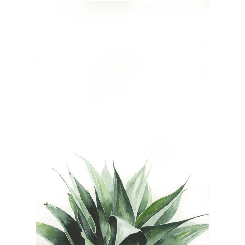 Agave: Original Watercolour Wall Artwork
