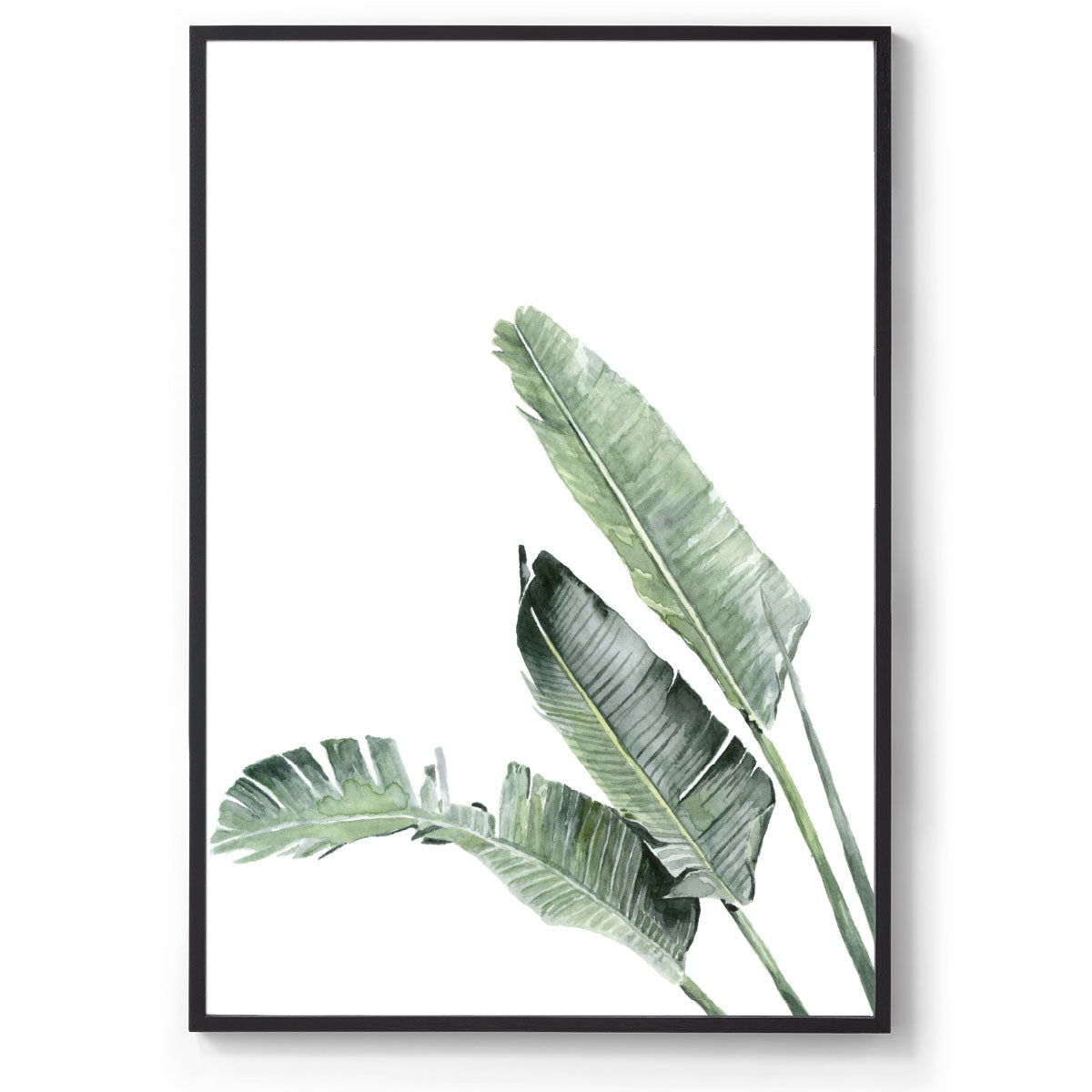 Banana Palms botanical art print black frame