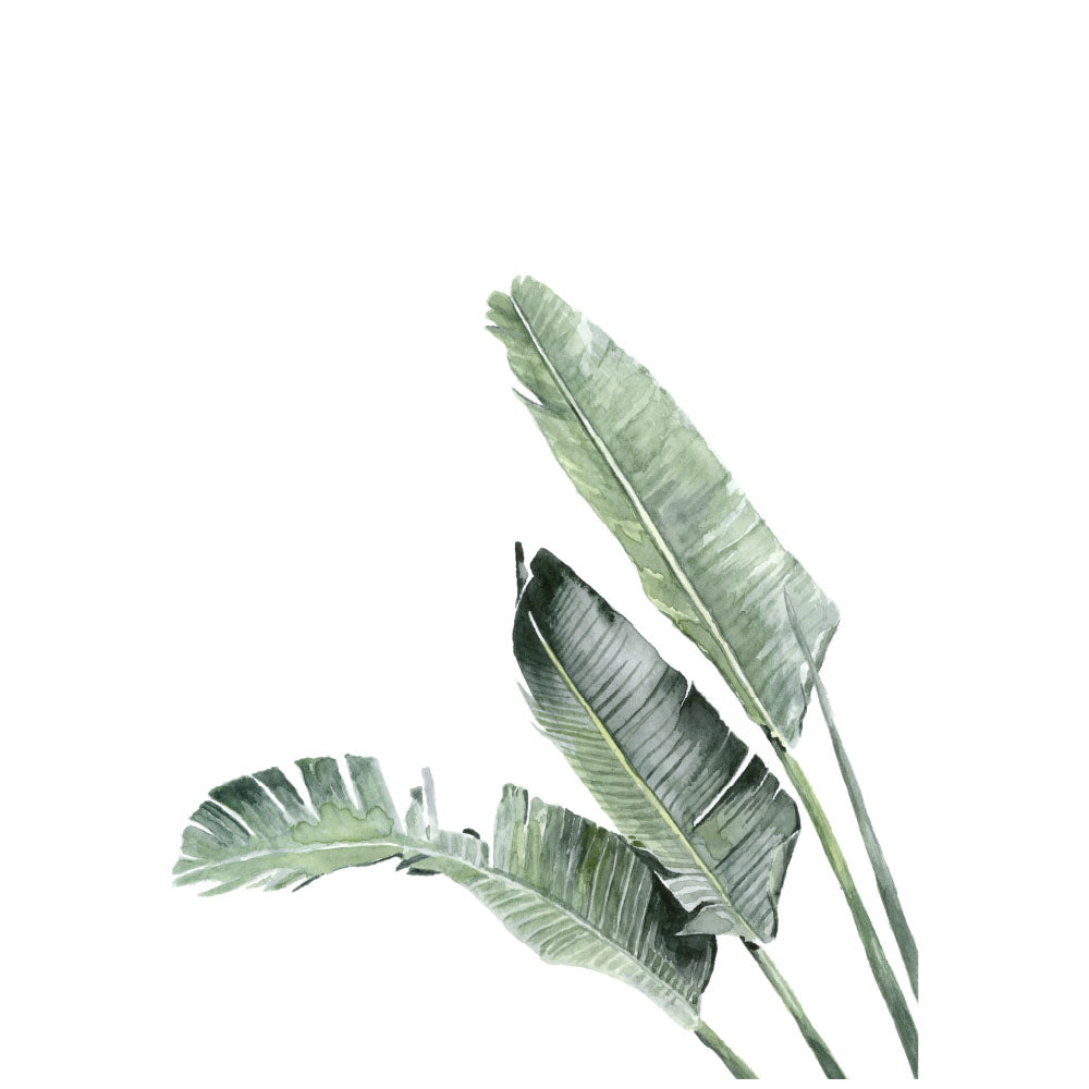 Banana Palms: Original Watercolour Wall Artwork