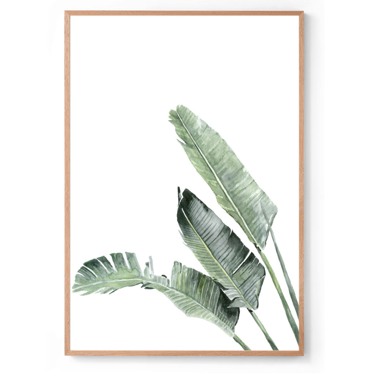 Banana Palms: Original Watercolour Wall Artwork