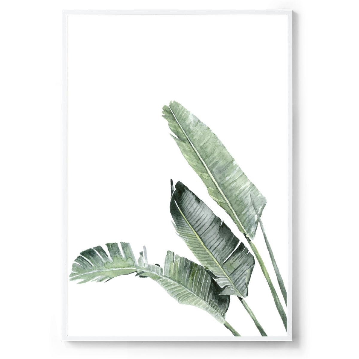 Banana Palms botanical art print white frame