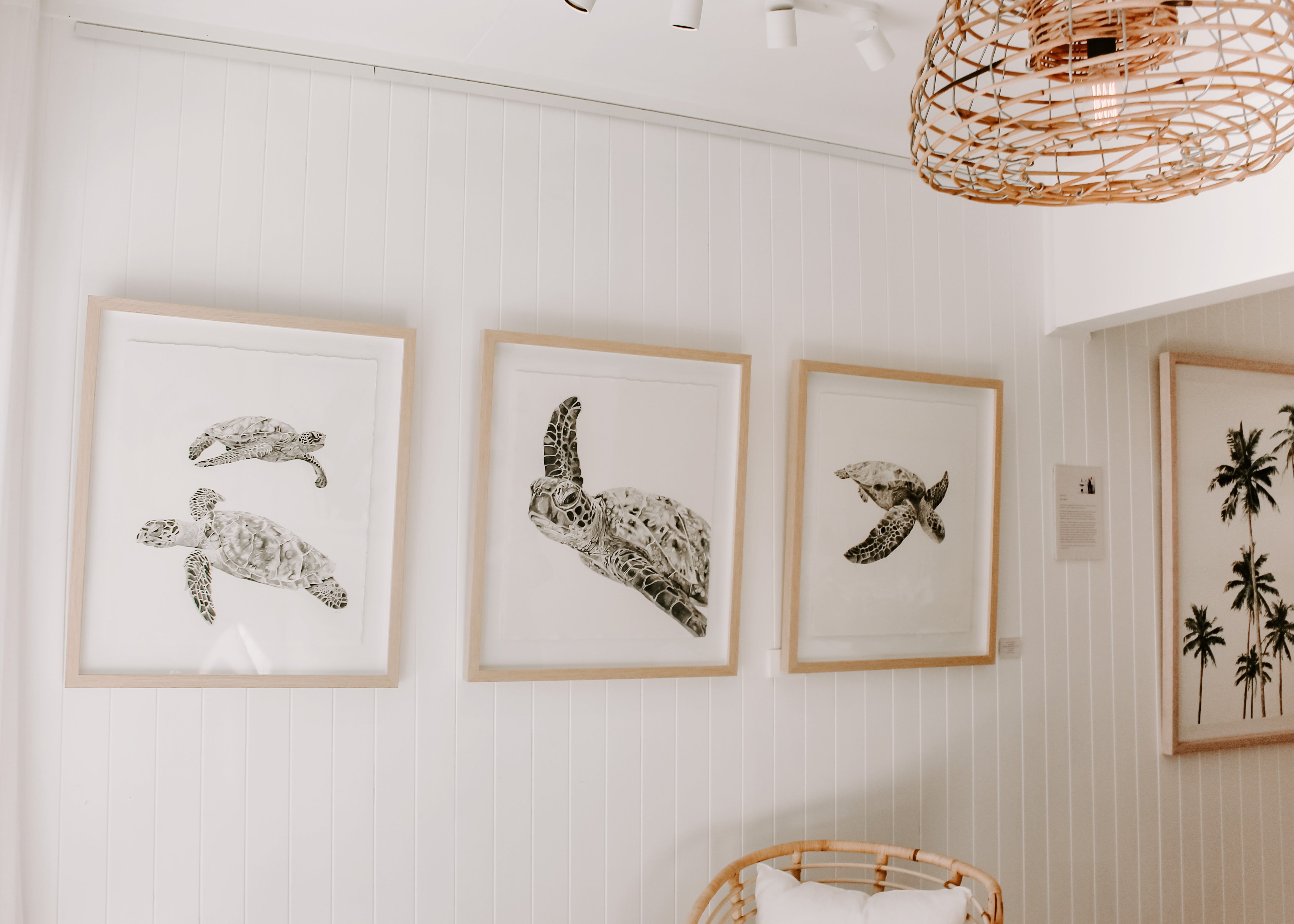 Bay of Turtles II: Original Watercolour Wall Artwork