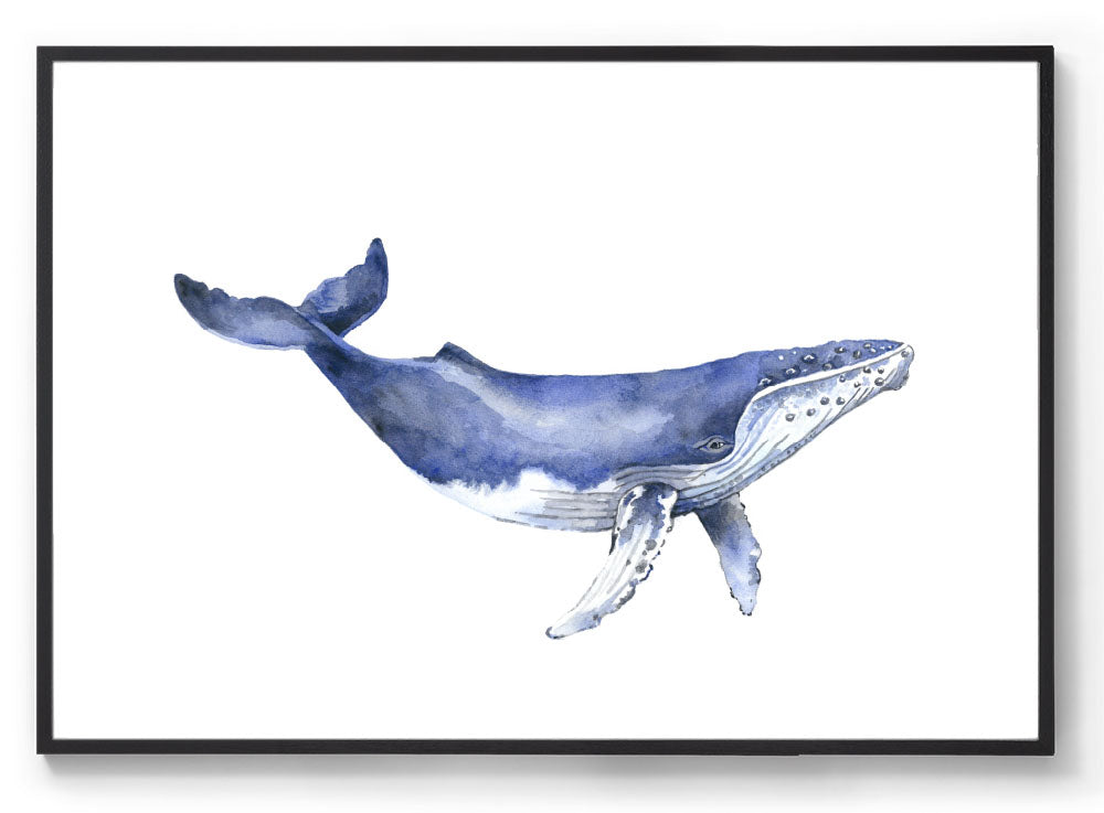 Online Humpback Whale