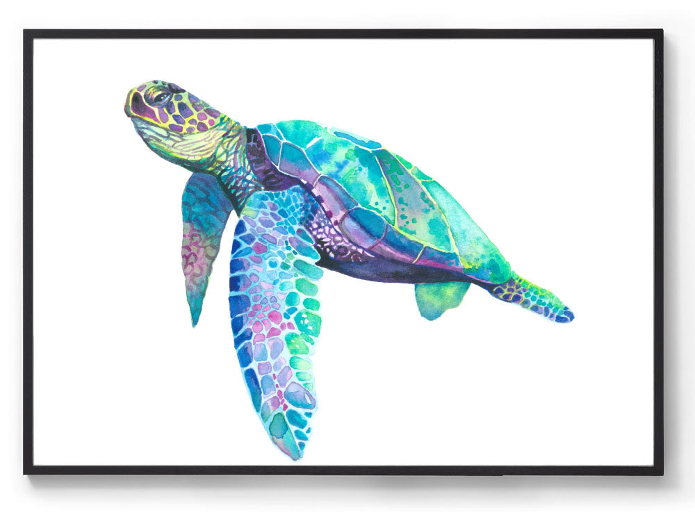 Turtle watercolour art print