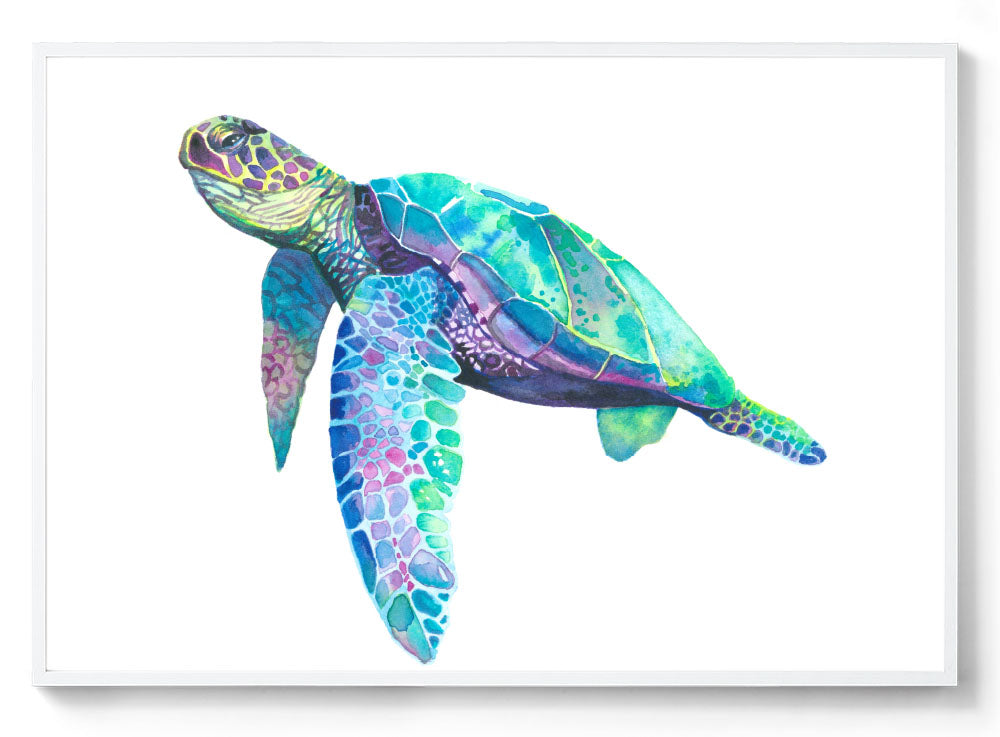 Turtle watercolour art print
