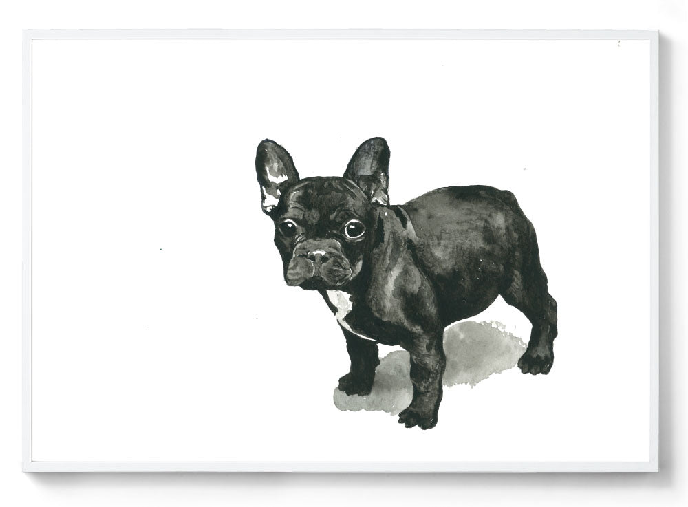 Frankie the Frenchie: Watercolour Wall Print