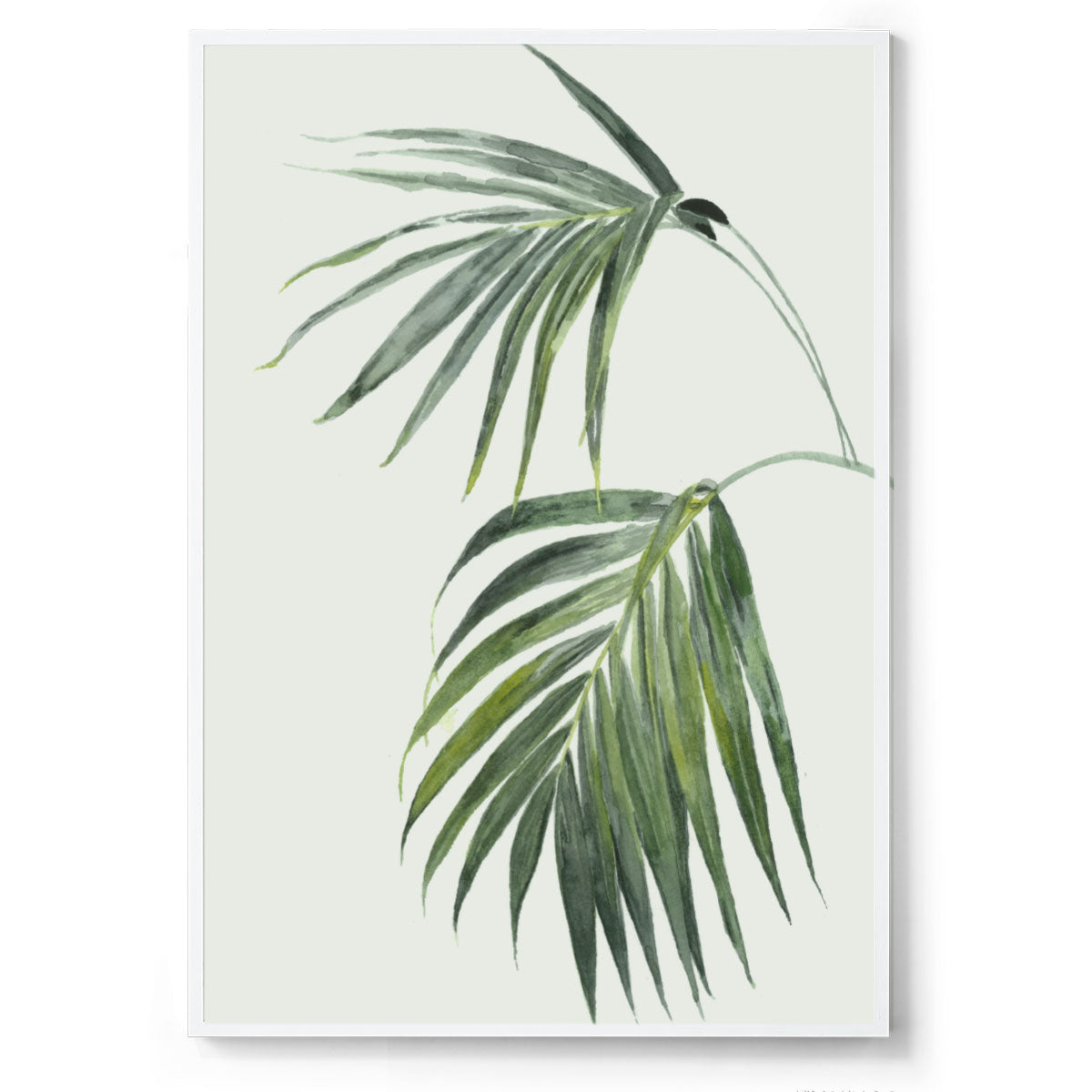 Golden Palm: Watercolour Wall Print