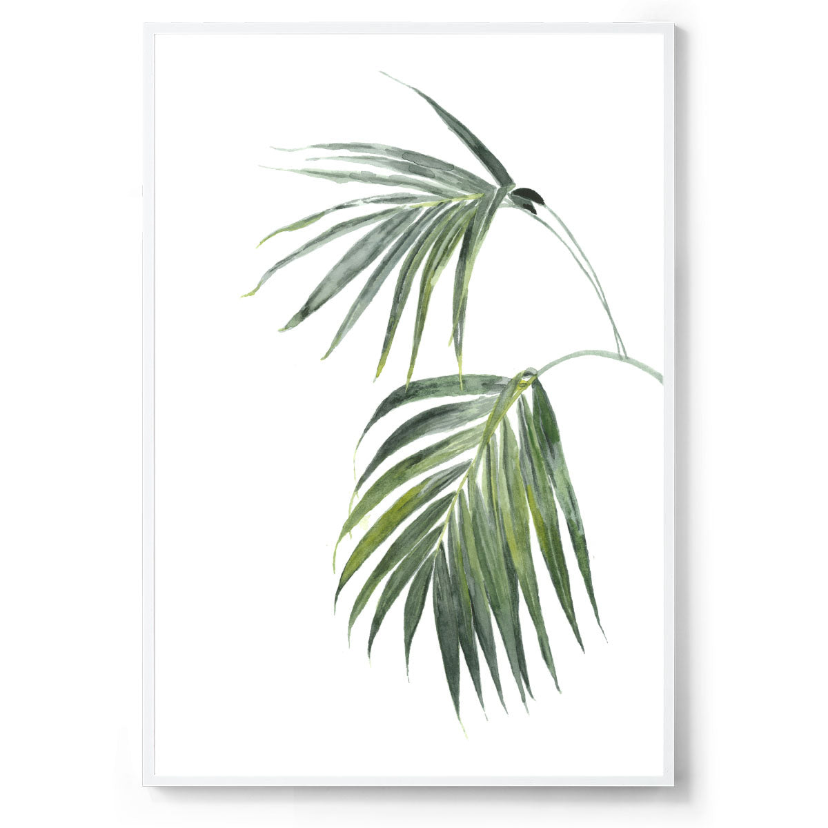 Tropical palm watercolour art print white frame