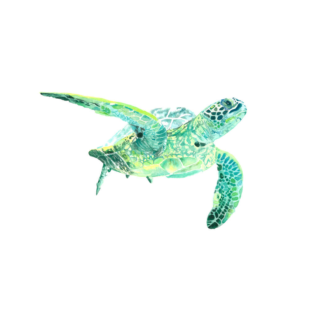 Watercolour green sea turtle print
