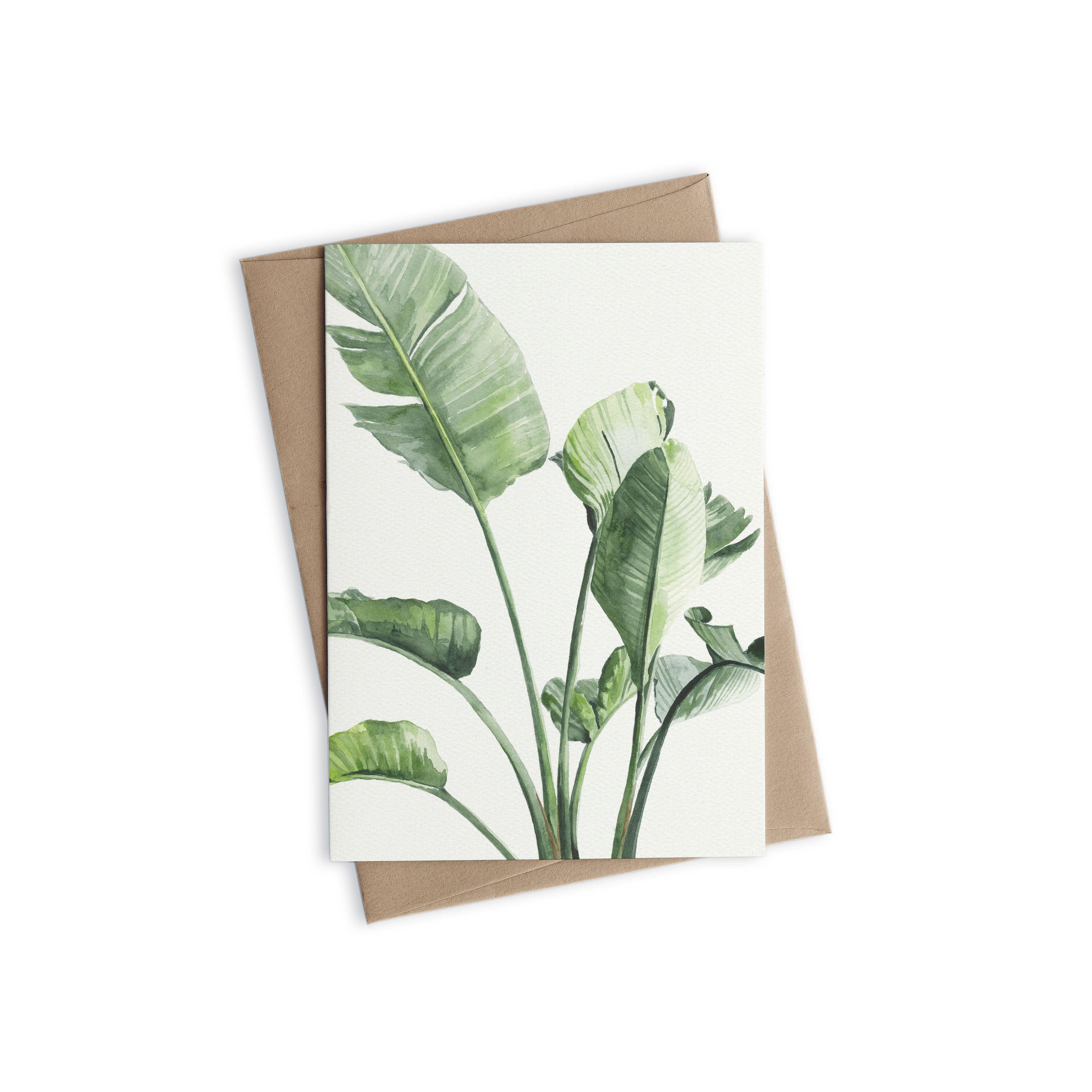Greeting Card - Strelitzia