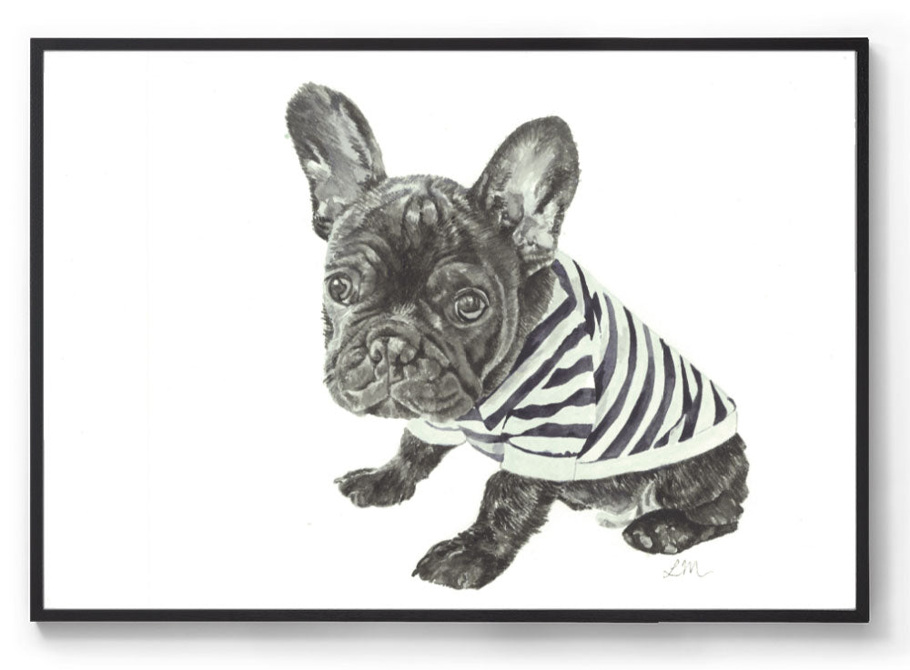 Hank the Frenchie: Watercolour Wall Print