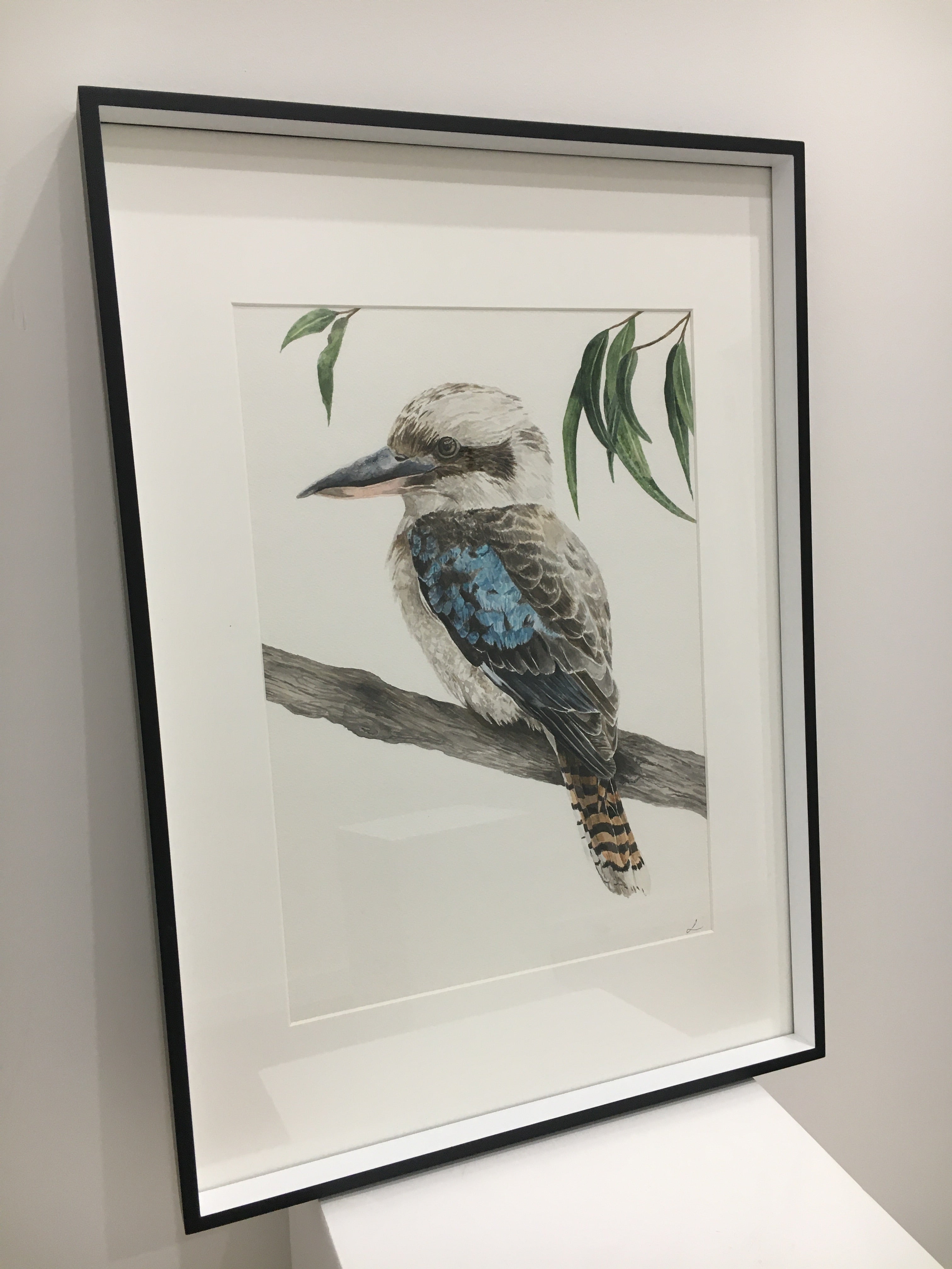 Blue the Kookaburra: Original Watercolour Wall Artwork
