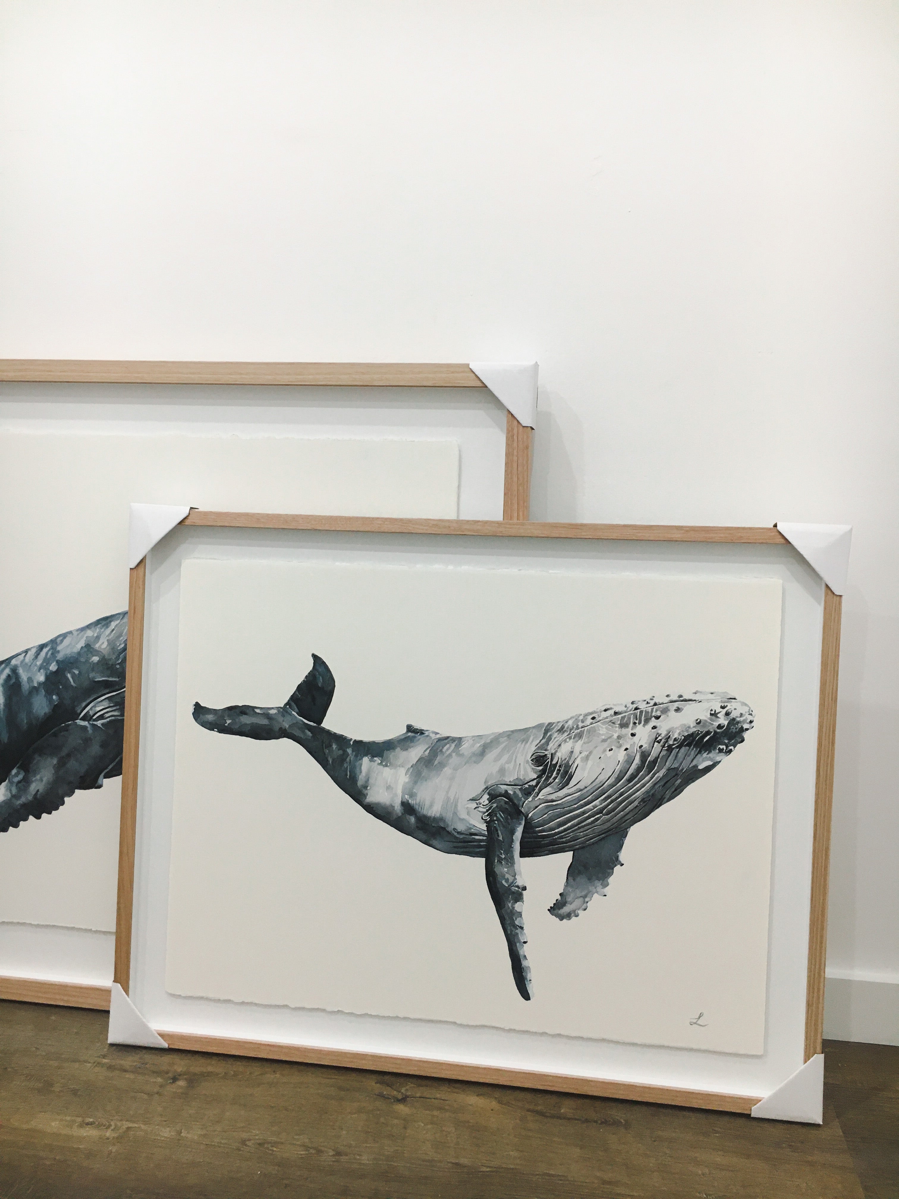LENNOX - The Baby Hump Back Whale Original Watercolour