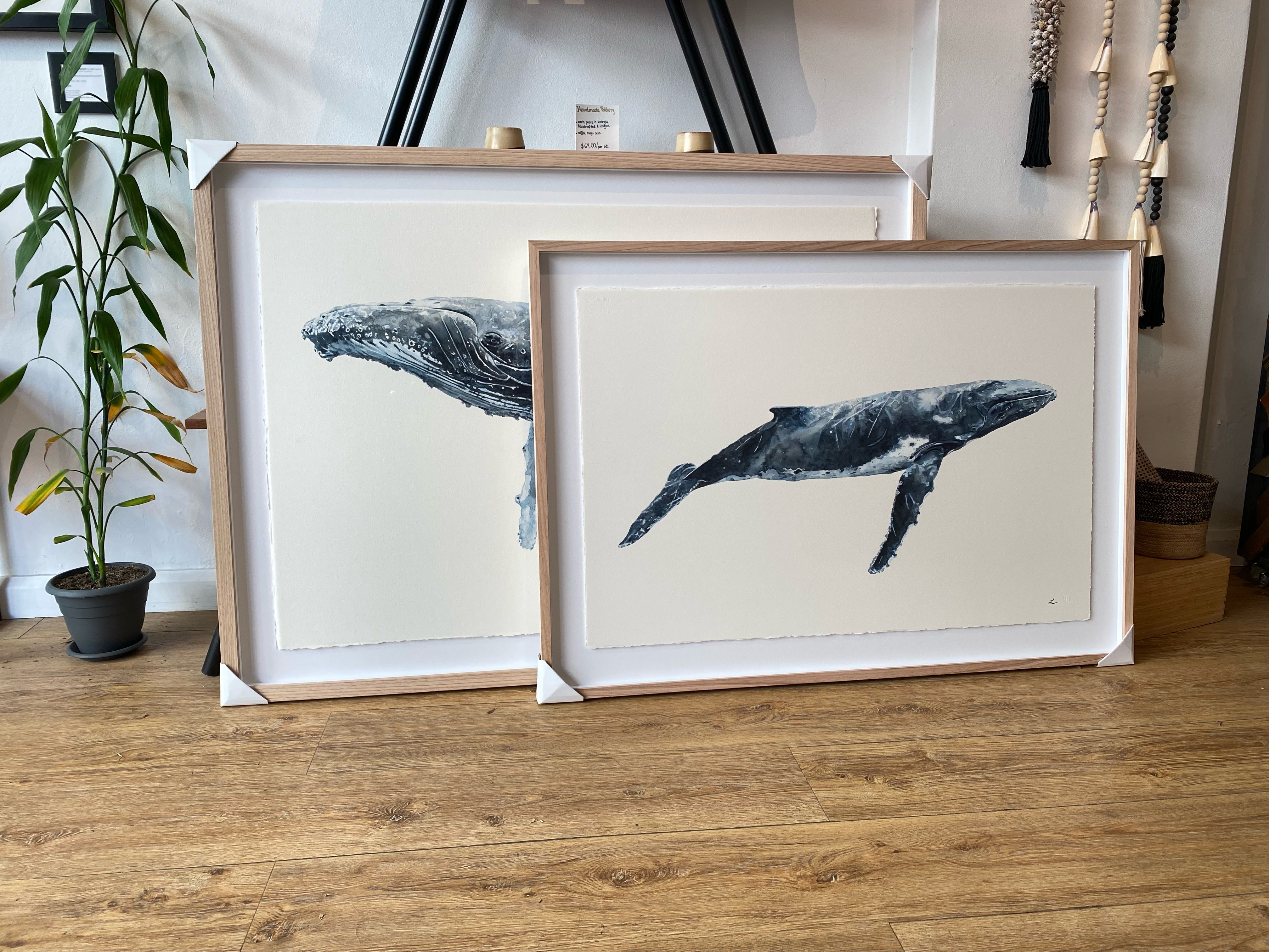 BILGOLA - The Hump Back Whale Original Watercolour Wall Artwork