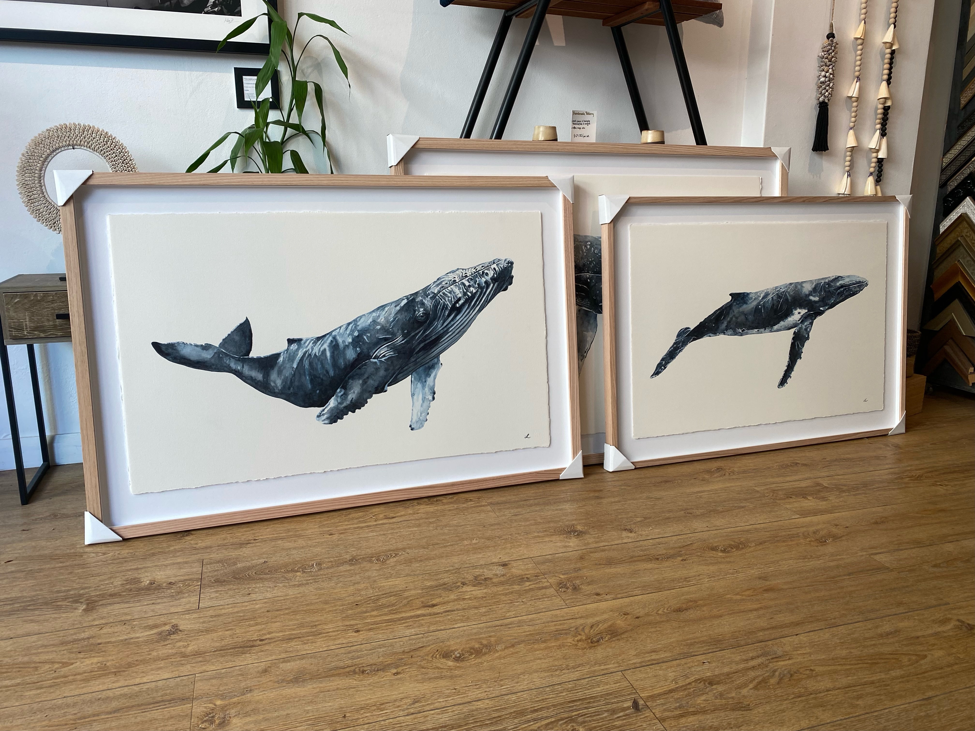 BRUNSWICK - The Hump Back Whale Original Watercolour Wall Artwork