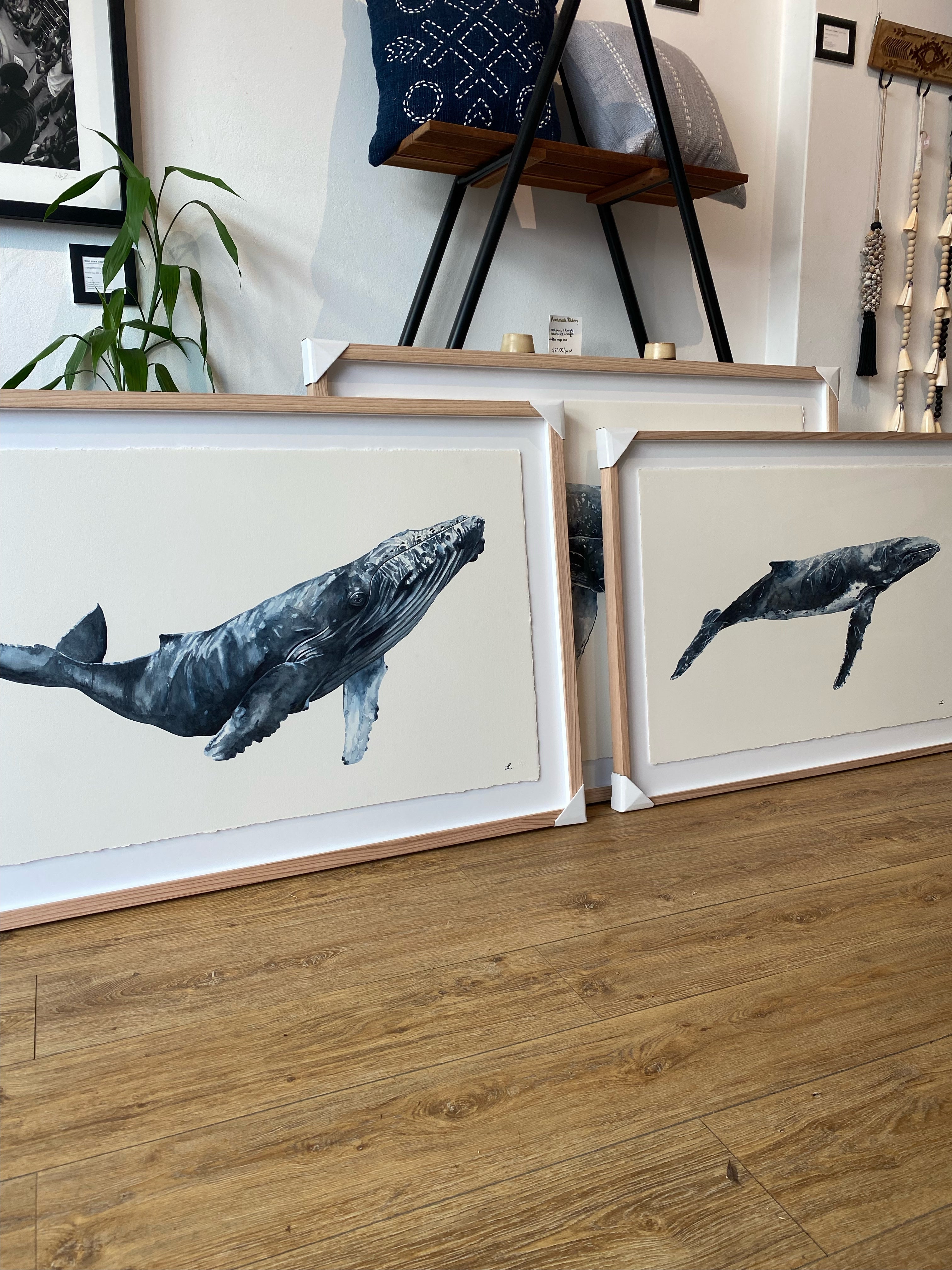 BRUNSWICK - The Hump Back Whale Original Watercolour Wall Artwork