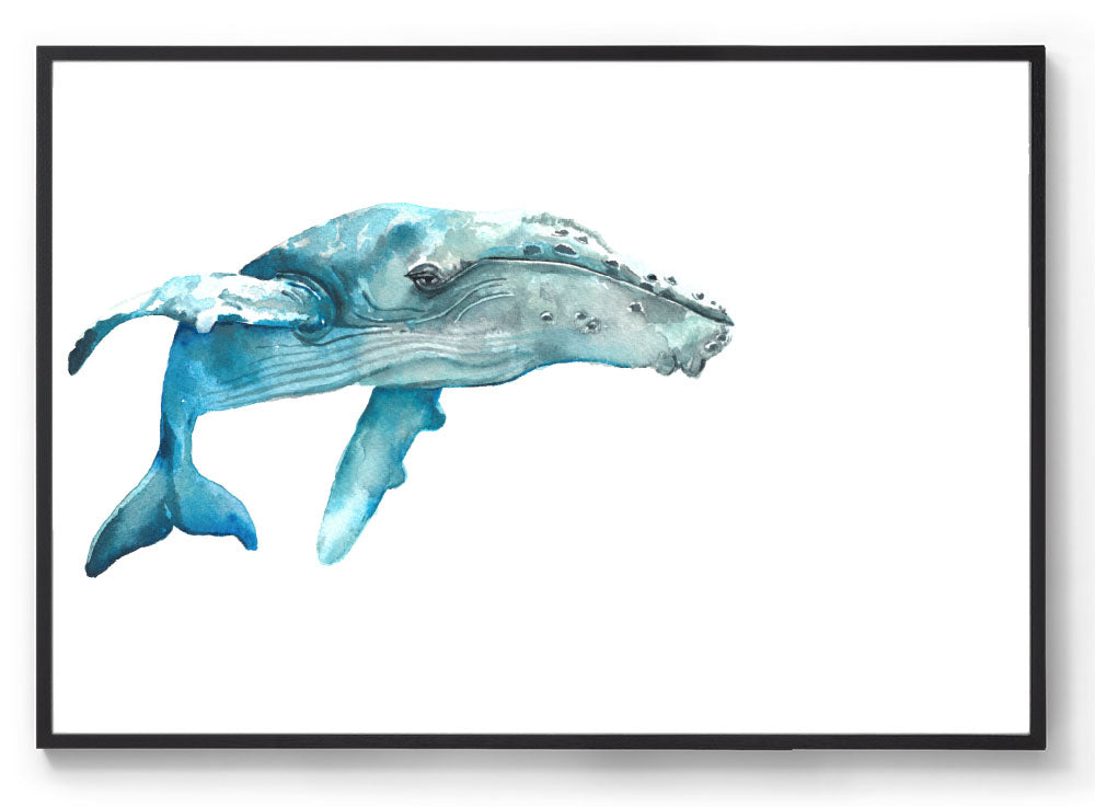 Watercolour Whale print black frame