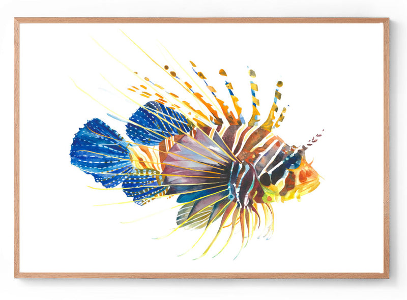 Watercolour Lionfish wall print oak frame