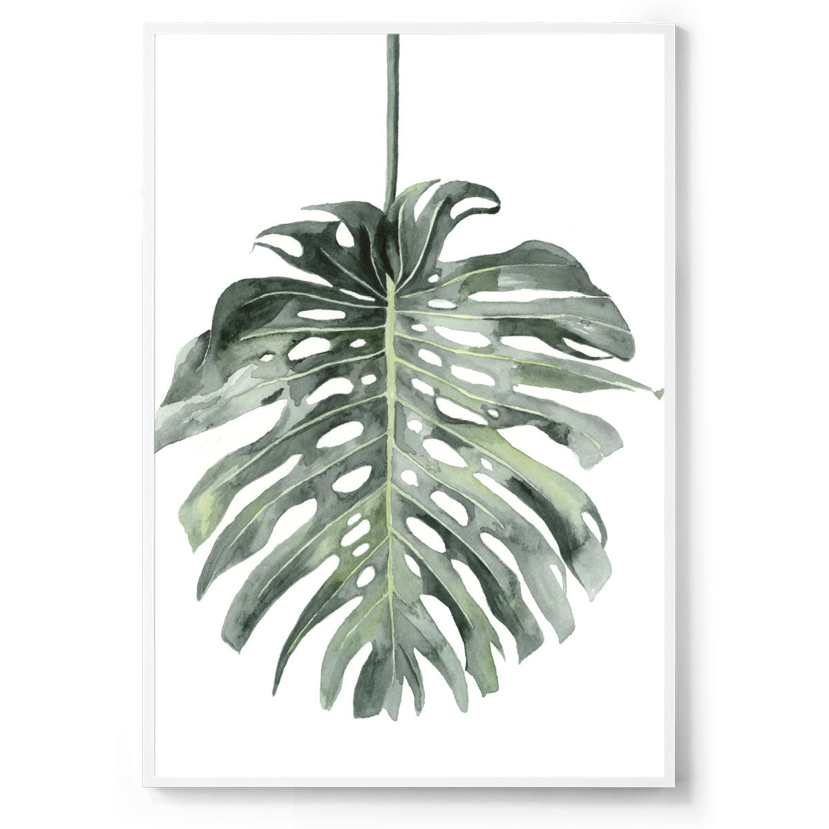 Watercolour botanical monstera art print white frame