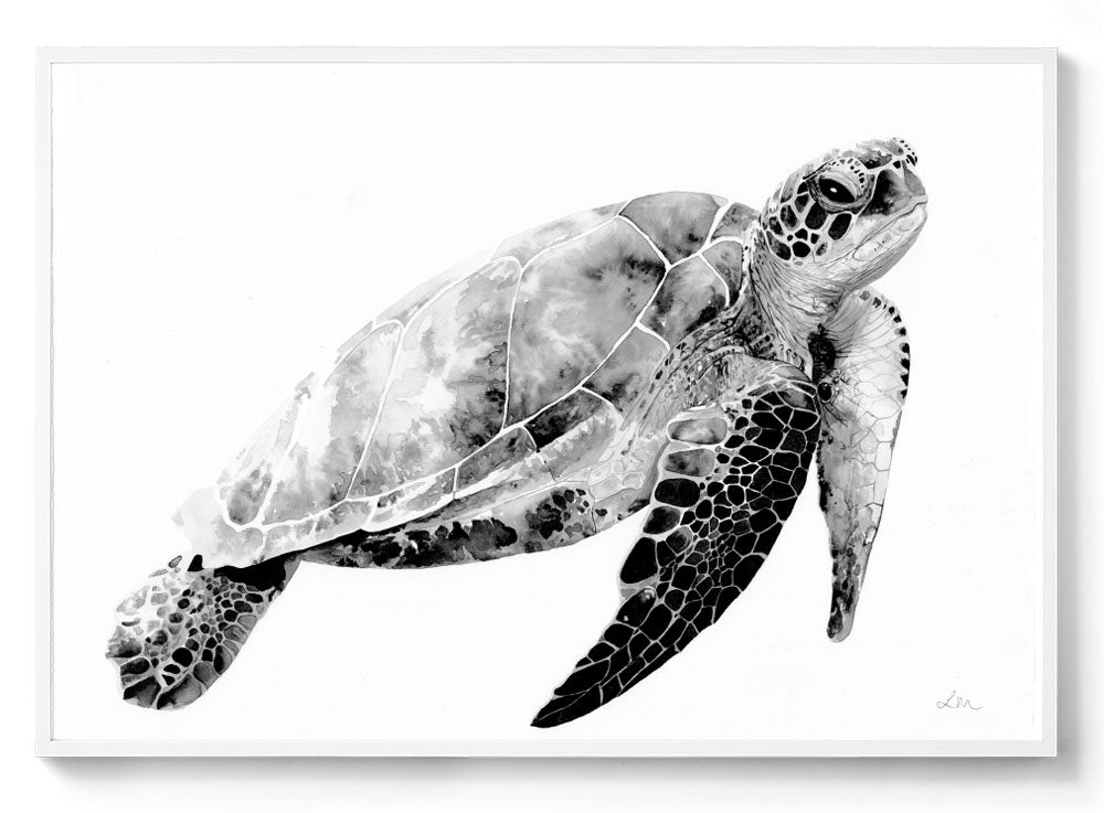 Myrtle the Turtle: Watercolour Wall Print