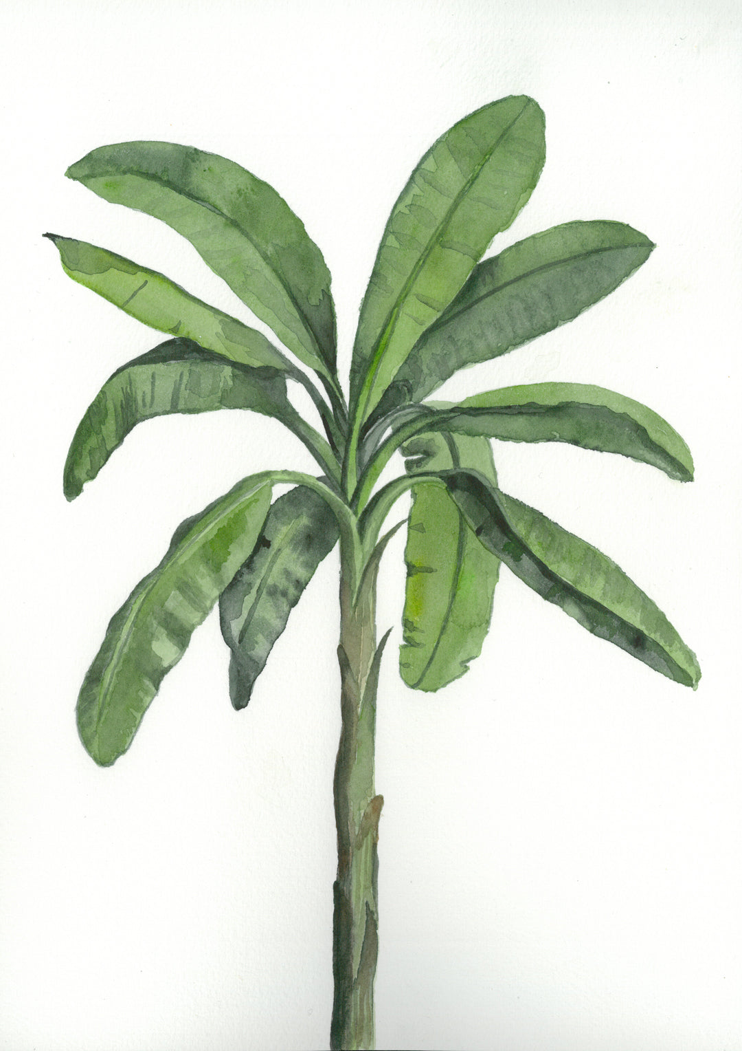 Tropical Oasis: Original Watercolour Wall Artwork