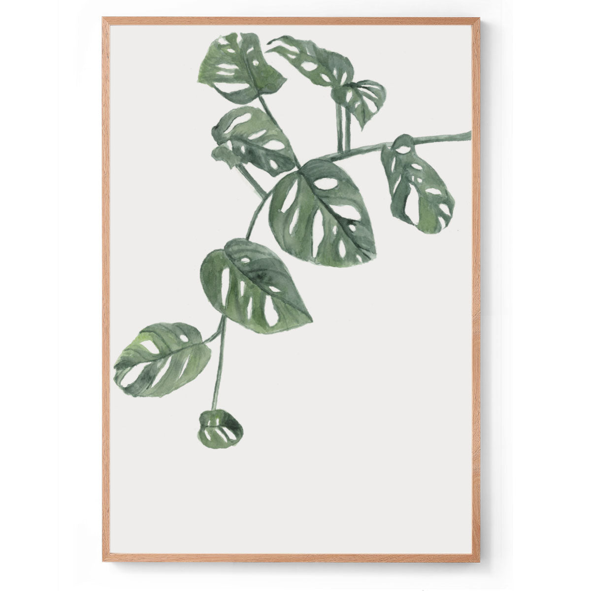 Split-Leaf Philodendron: Watercolour Wall Print