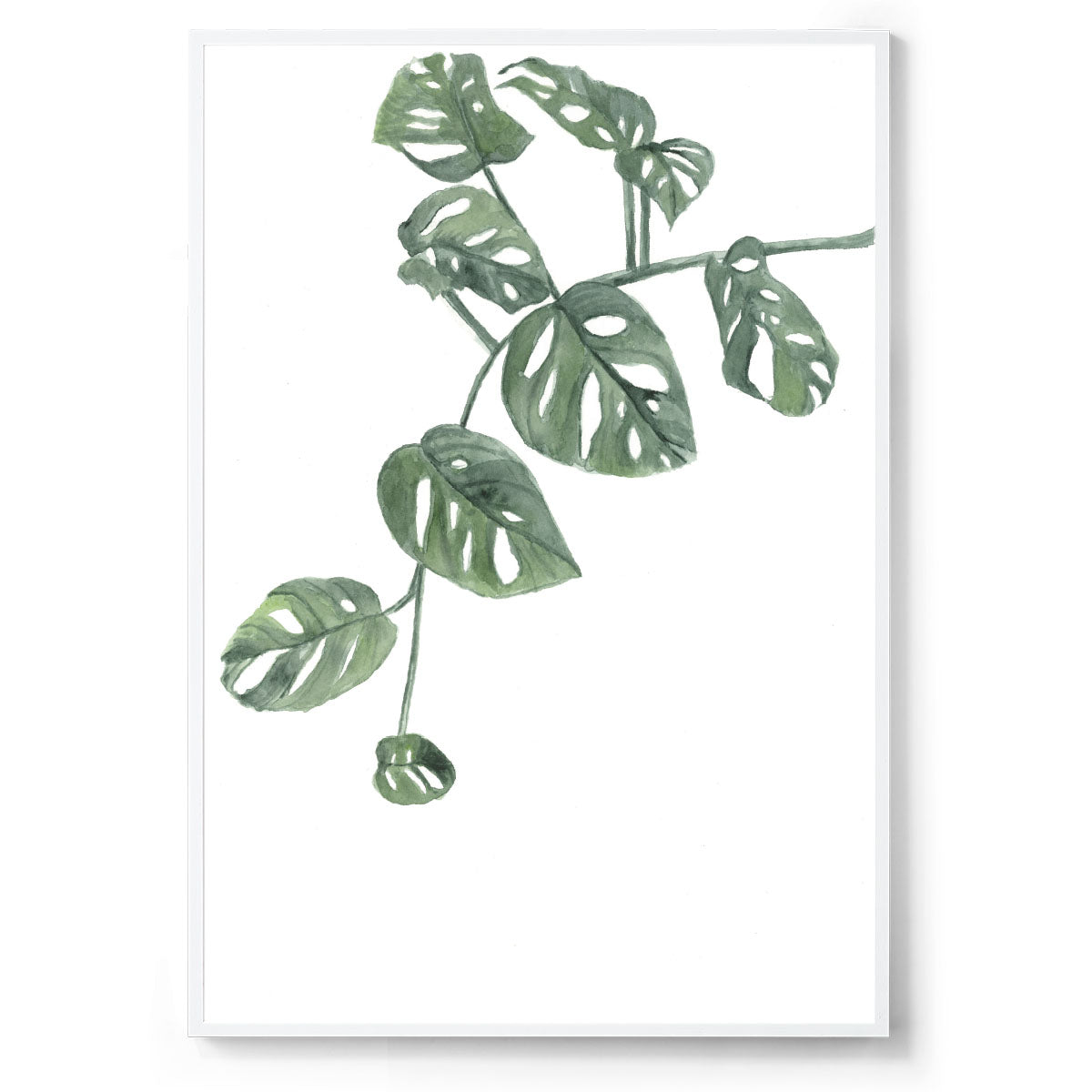 Watercolour botanical art print white frame