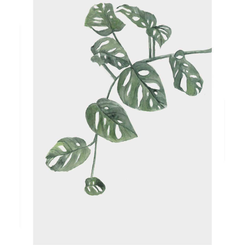Split-Leaf Philodendron: Watercolour Wall Print