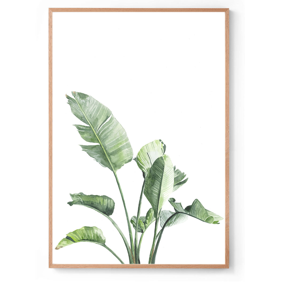 Watercolour botanical art print oak frame