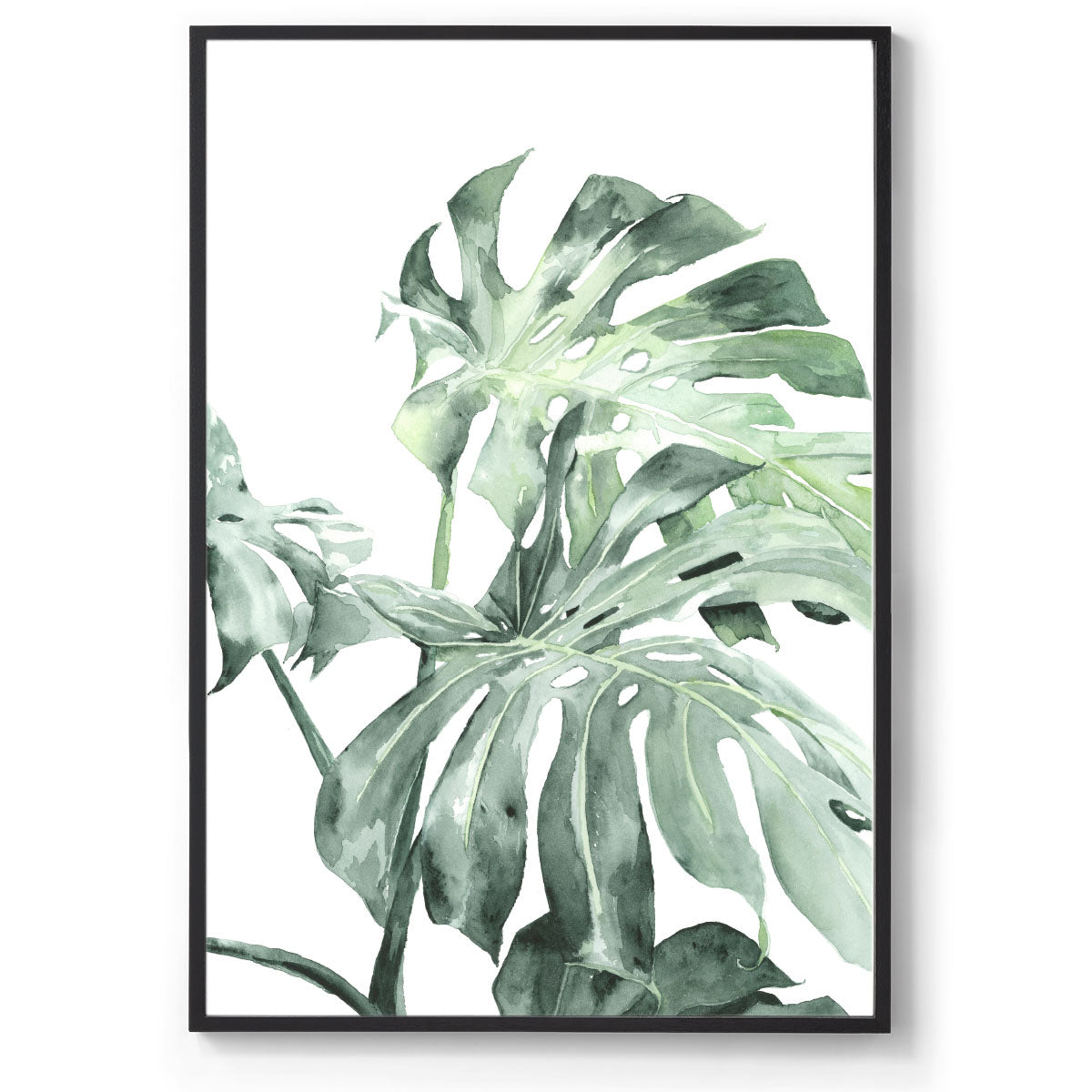 Watercolour botanical art print black frame