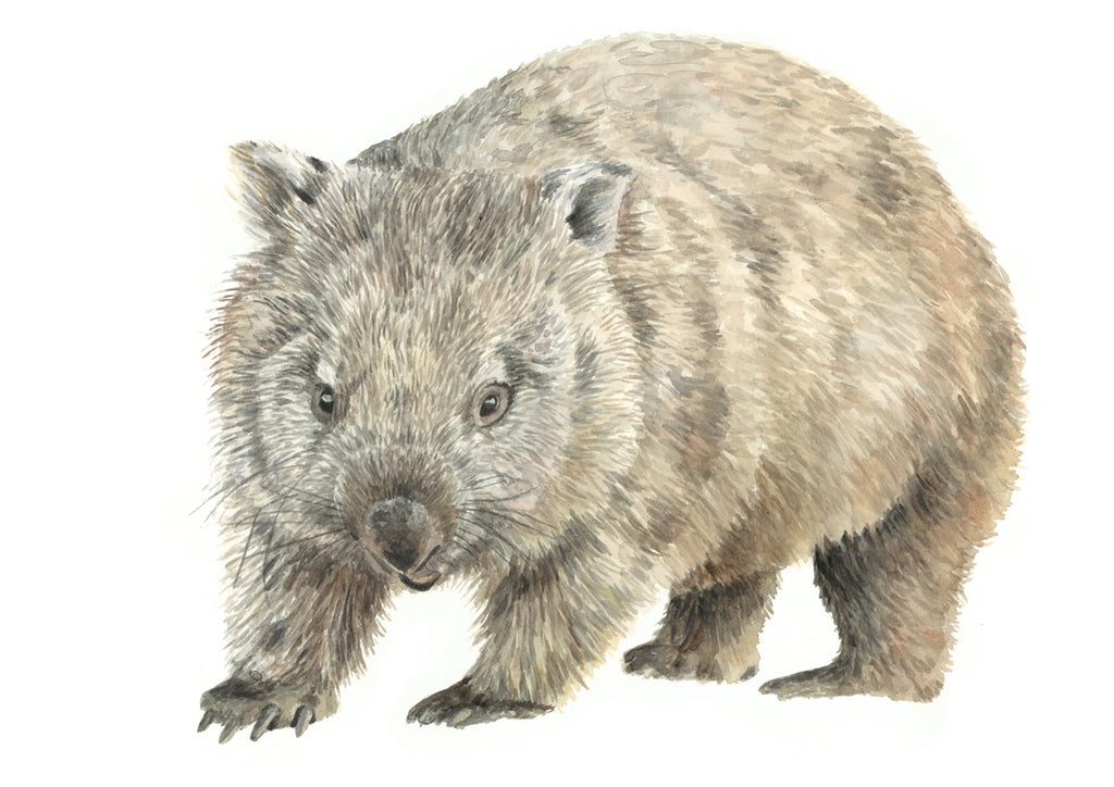 Rubber sole - Woolly Wombat