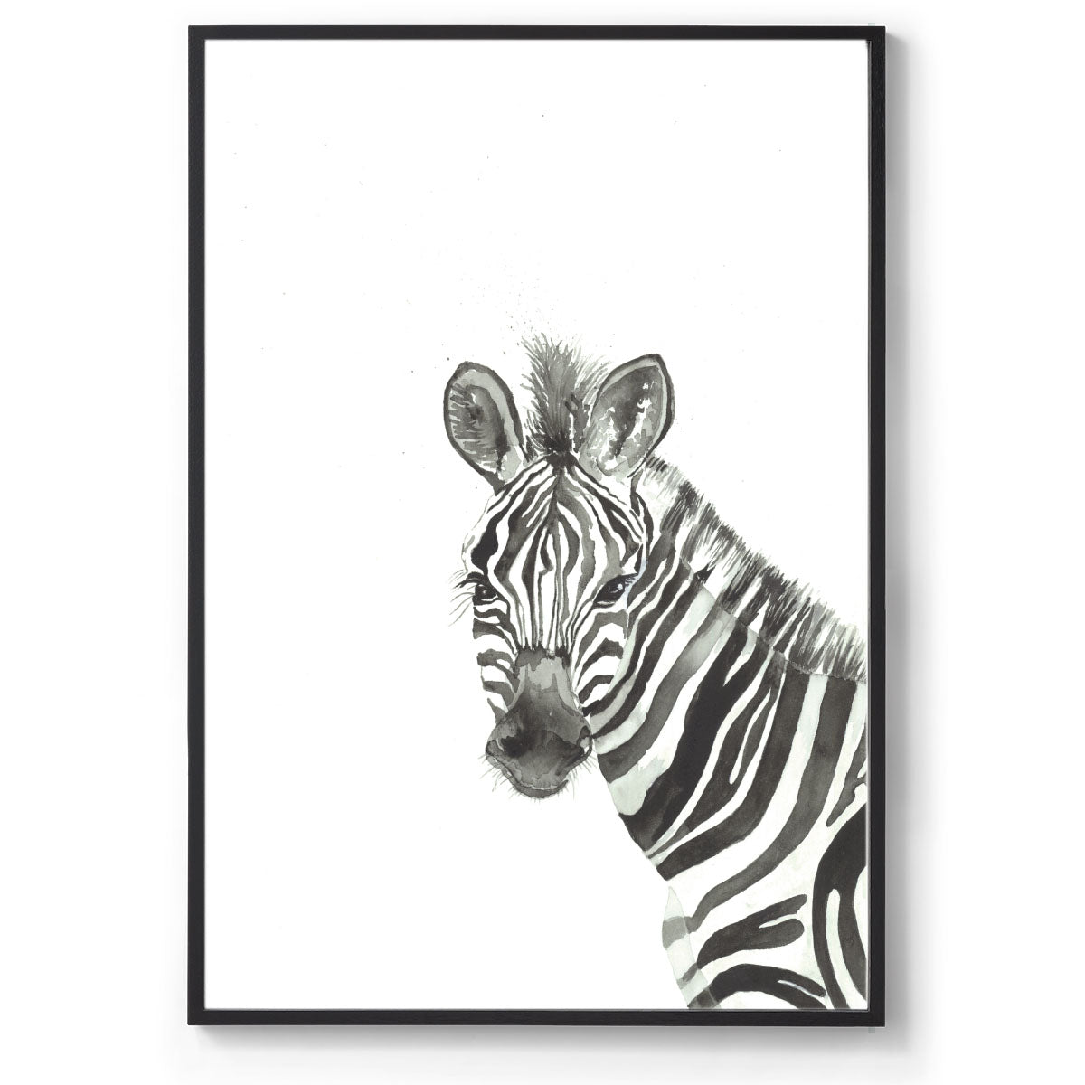 Zeus the Zebra: Watercolour Wall Print