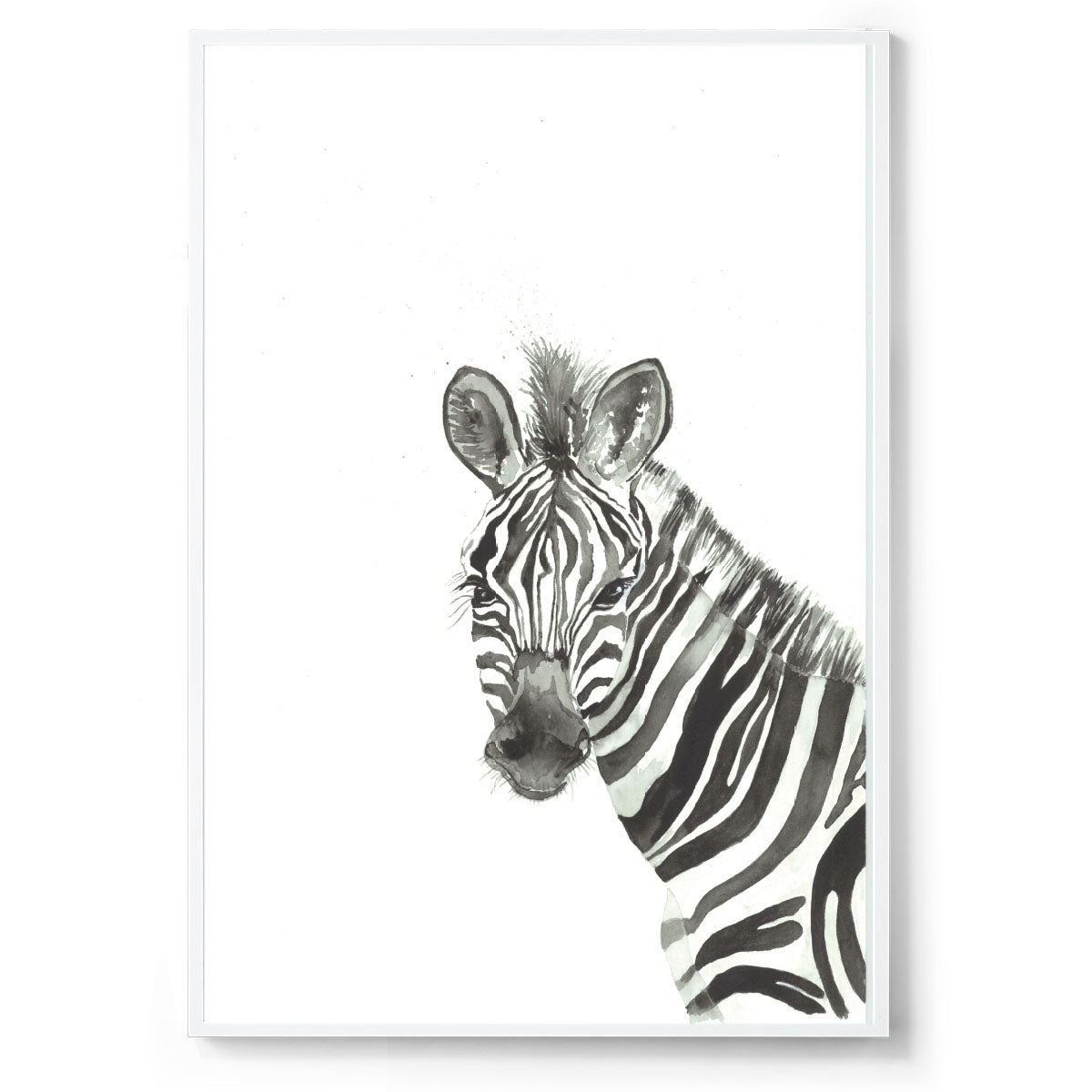 Zeus the Zebra: Watercolour Wall Print