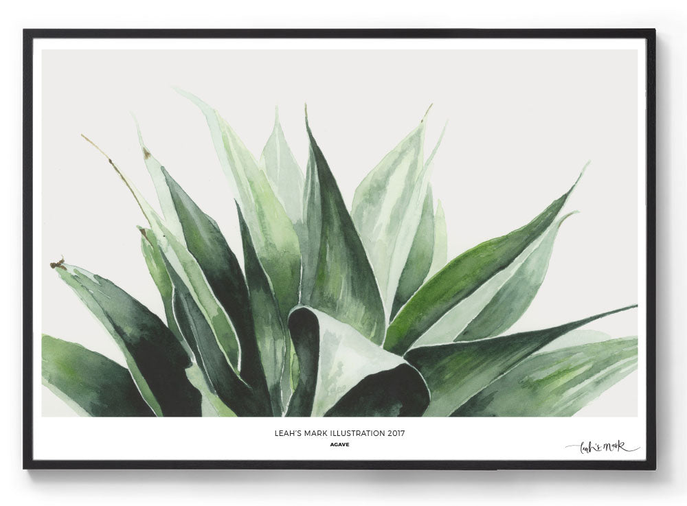 Agave: Watercolour Wall Print