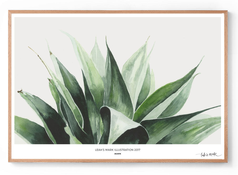 Agave: Watercolour Wall Print