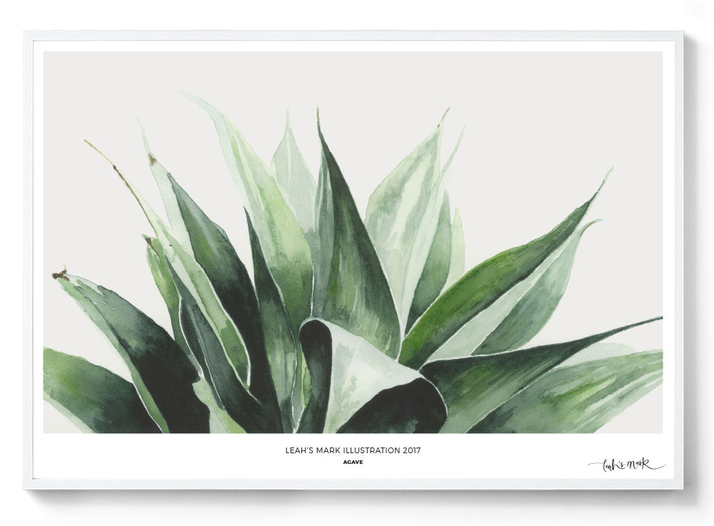 Agave: Watercolour Wall Print