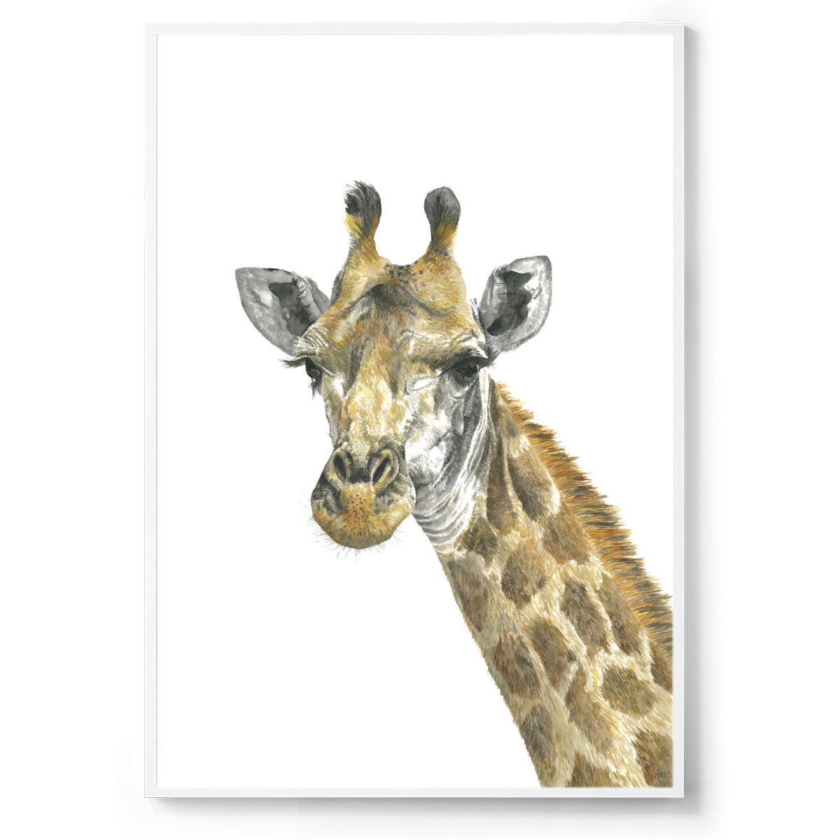 Ralph the Giraffe: Watercolour Wall Print