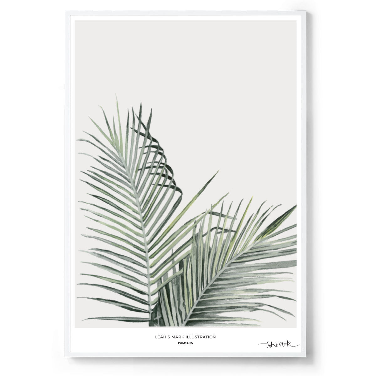 Palmera: Watercolour Wall Print