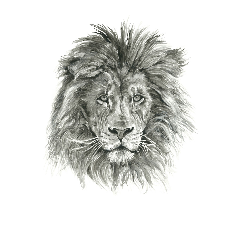 Africa