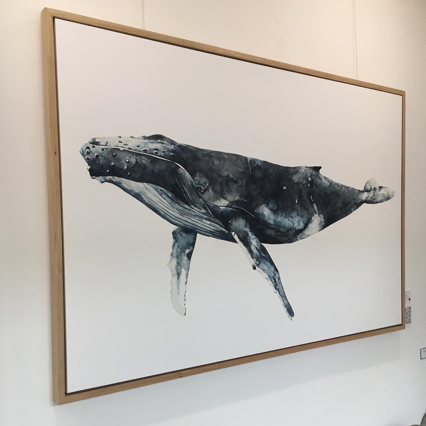 Avalon the Humpback Whale: Limited Edition Watercolour Canvas Print
