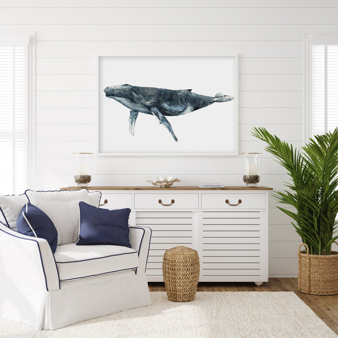 Avalon: The Hump Back Whale Limited Edition Watercolour Wall Print
