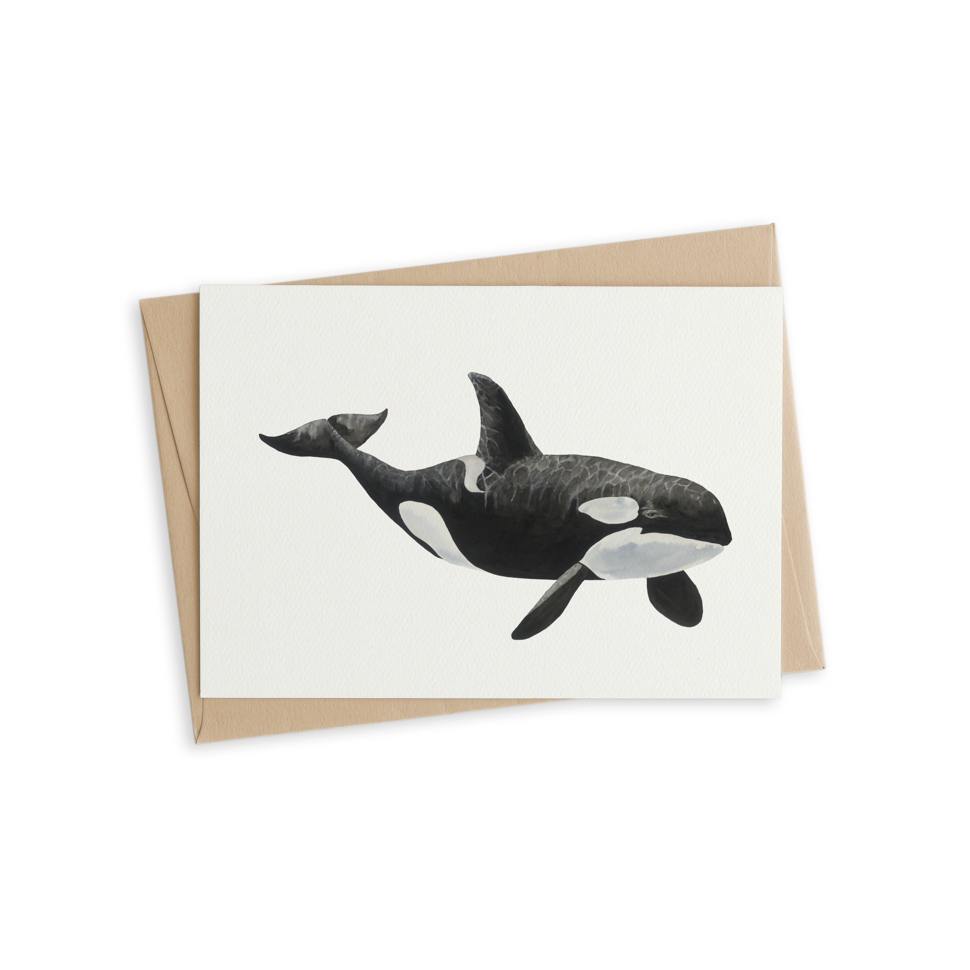Greeting Card - Tilikum The Orca