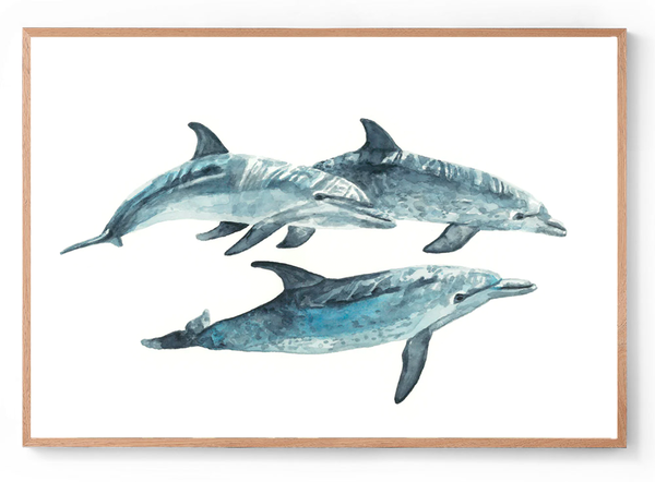 Dolphin Family: Watercolour Wall Print