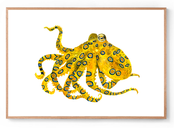 Octavia the Blue Ringed Octopus: Watercolour Wall Print