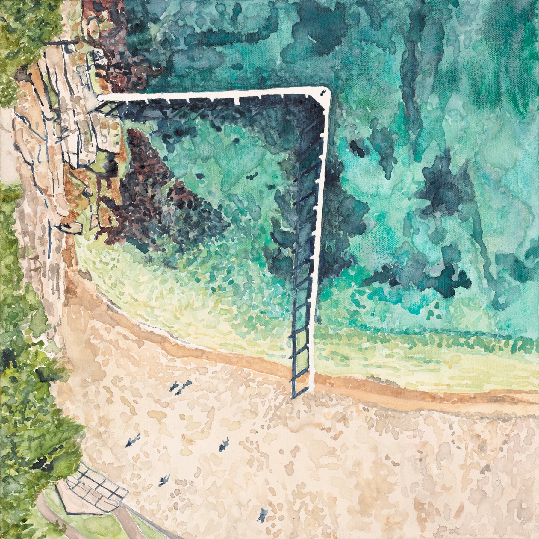 Little Manly: Limited Edition Watercolour Paper Print