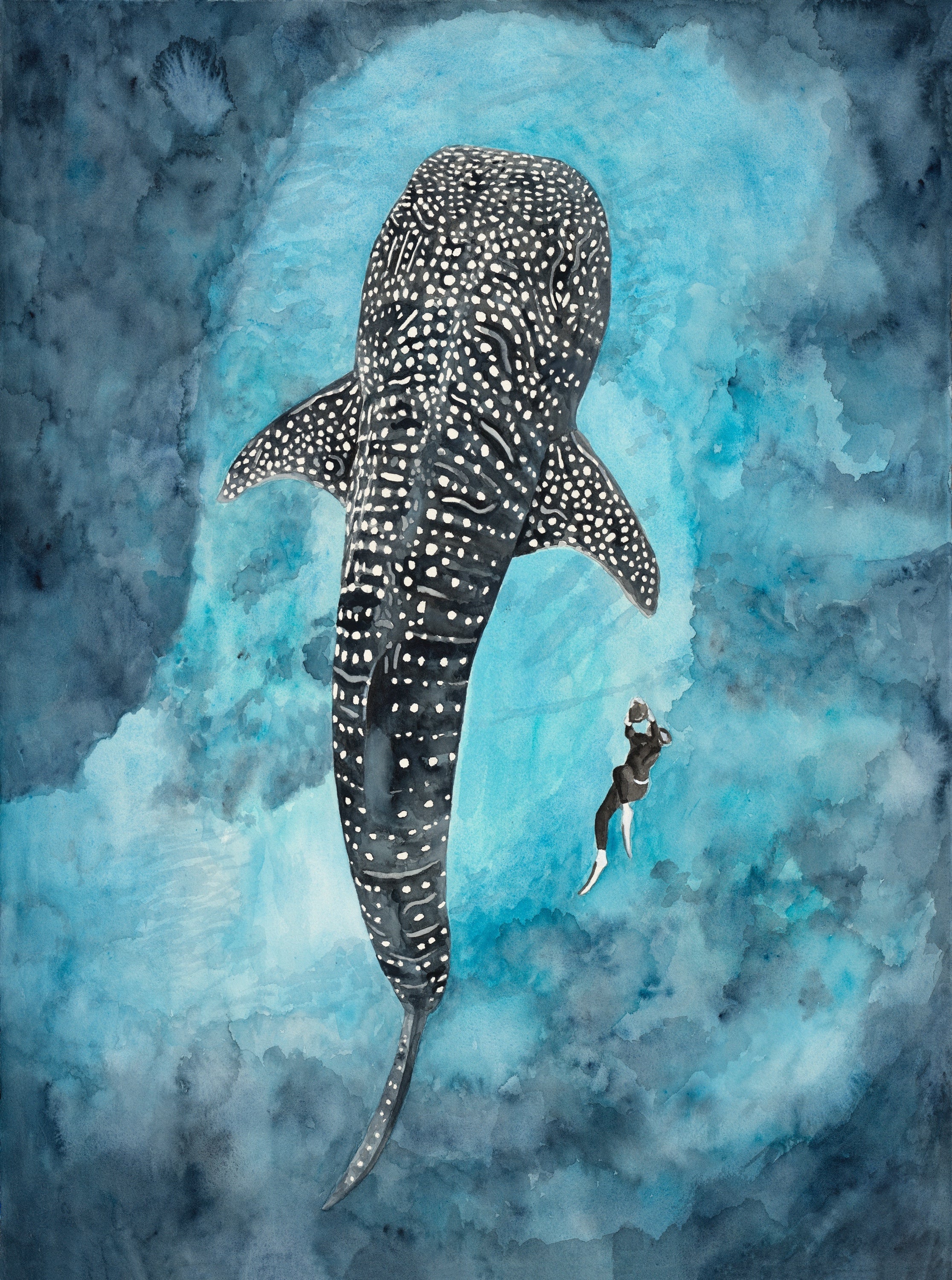 Whale Shark Encounter: Limited Edition Watercolour Canvas Print
